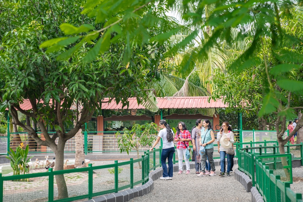 School Picnic Spots Around Pune | Family Outing | Picnic Near Pune